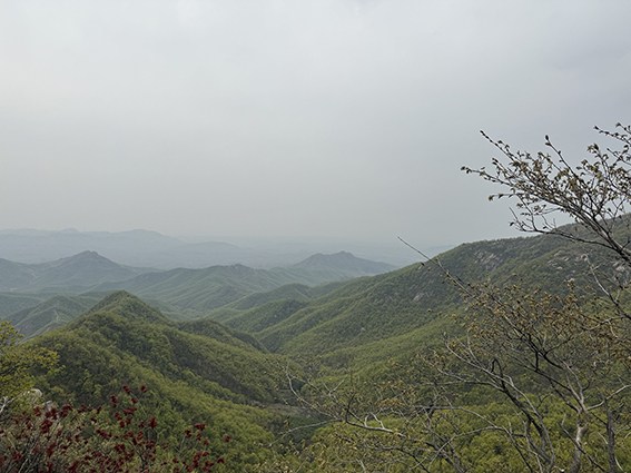 1745896875791371.jpg 微信图片_20250422083901.jpg