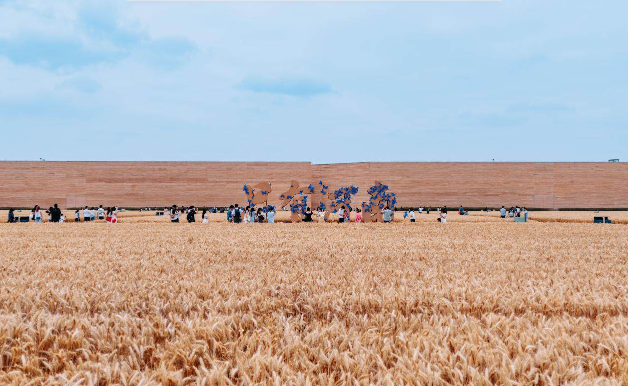 1748921310811307.png 1748921263309.png